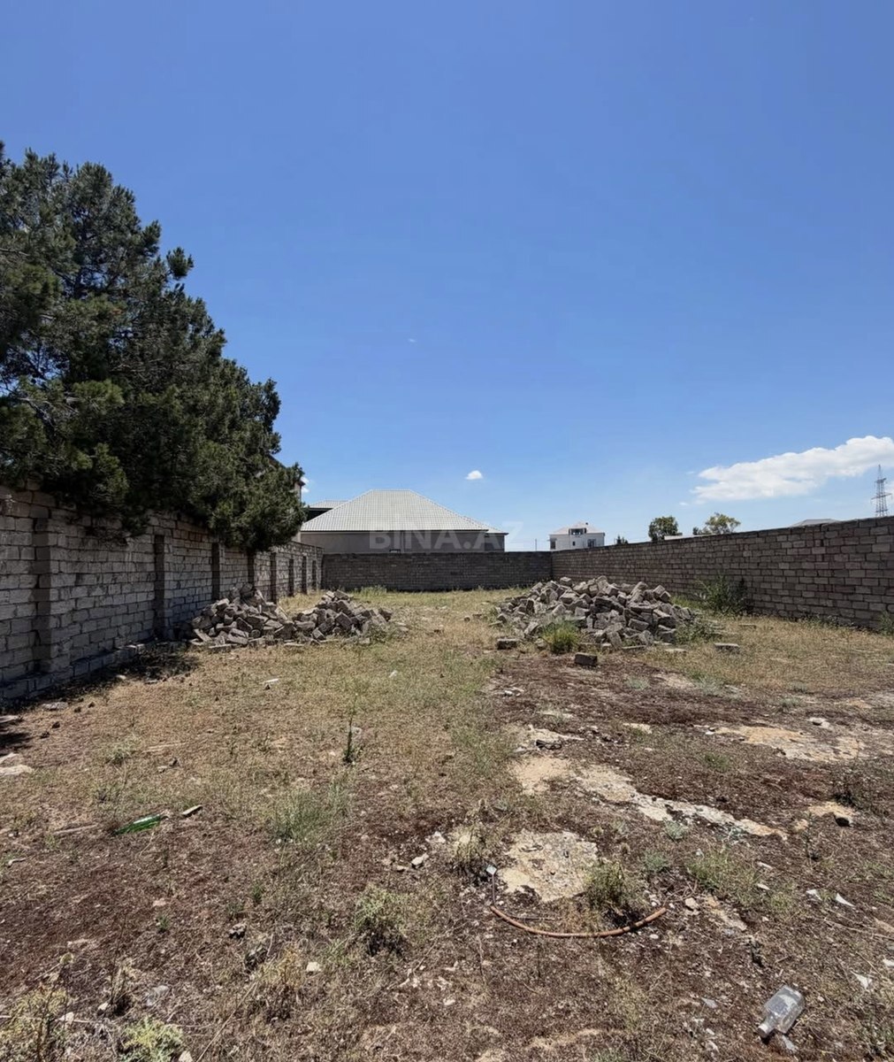 Torpaq Şüvəlan q., Bakı