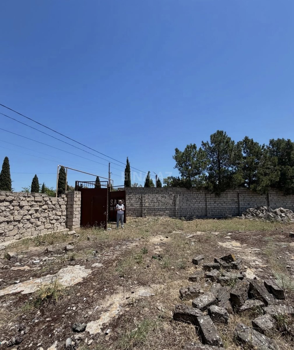 Torpaq Şüvəlan q., Bakı