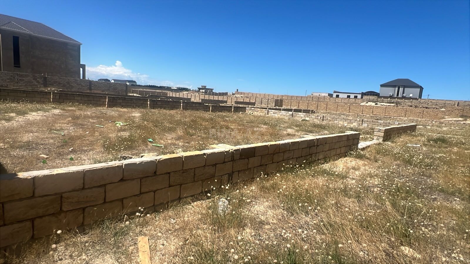 Torpaq Badamdar q., Bakı