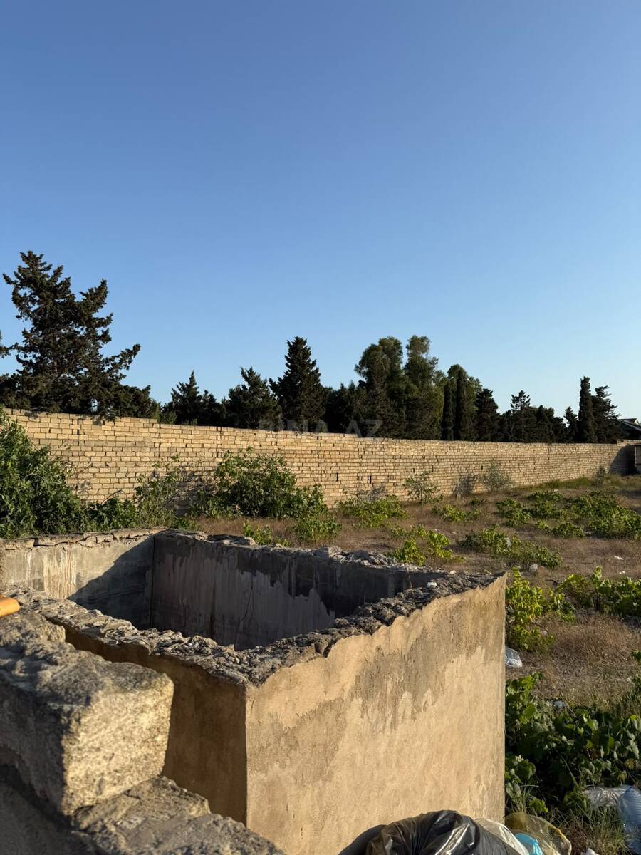 Torpaq Nardaran q., Bakı