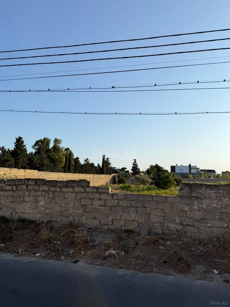 Torpaq Nardaran q., Bakı