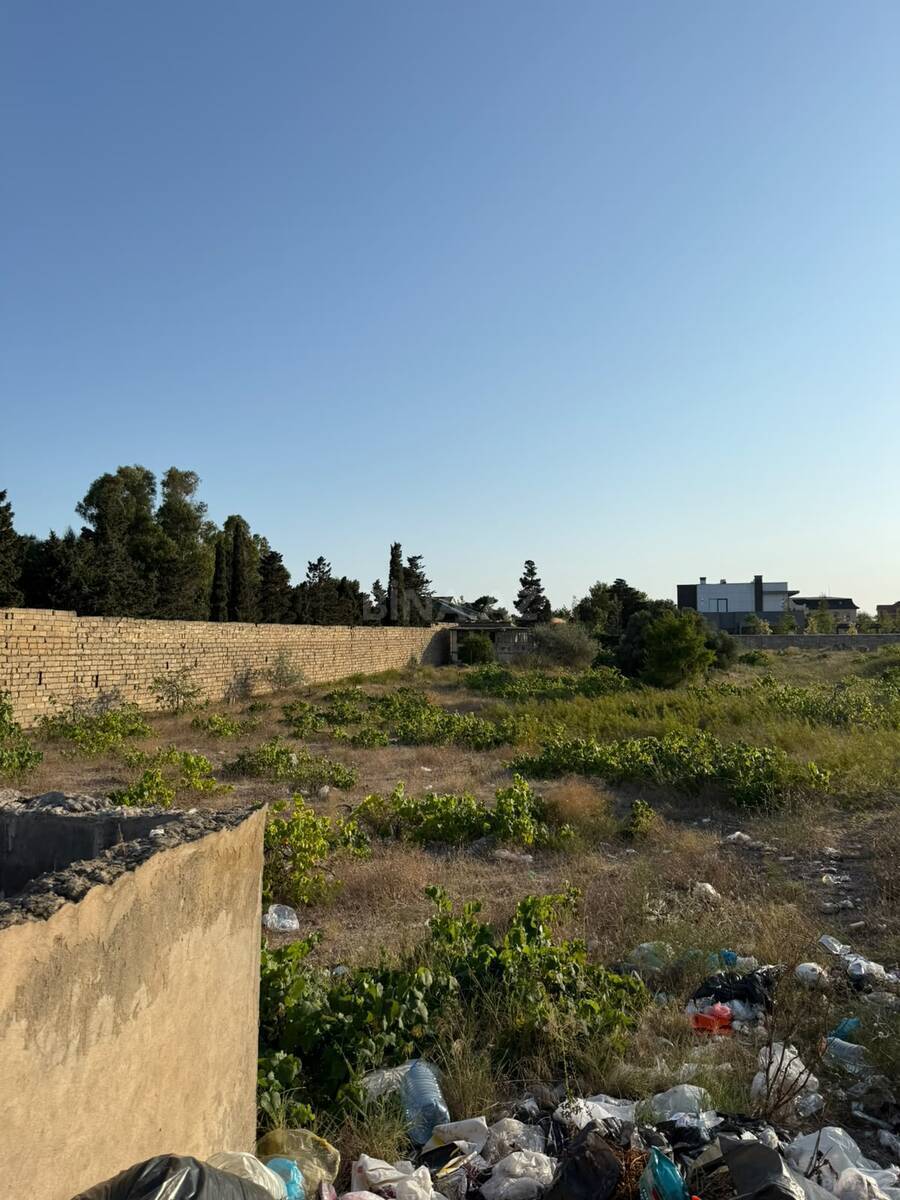Torpaq Nardaran q., Bakı