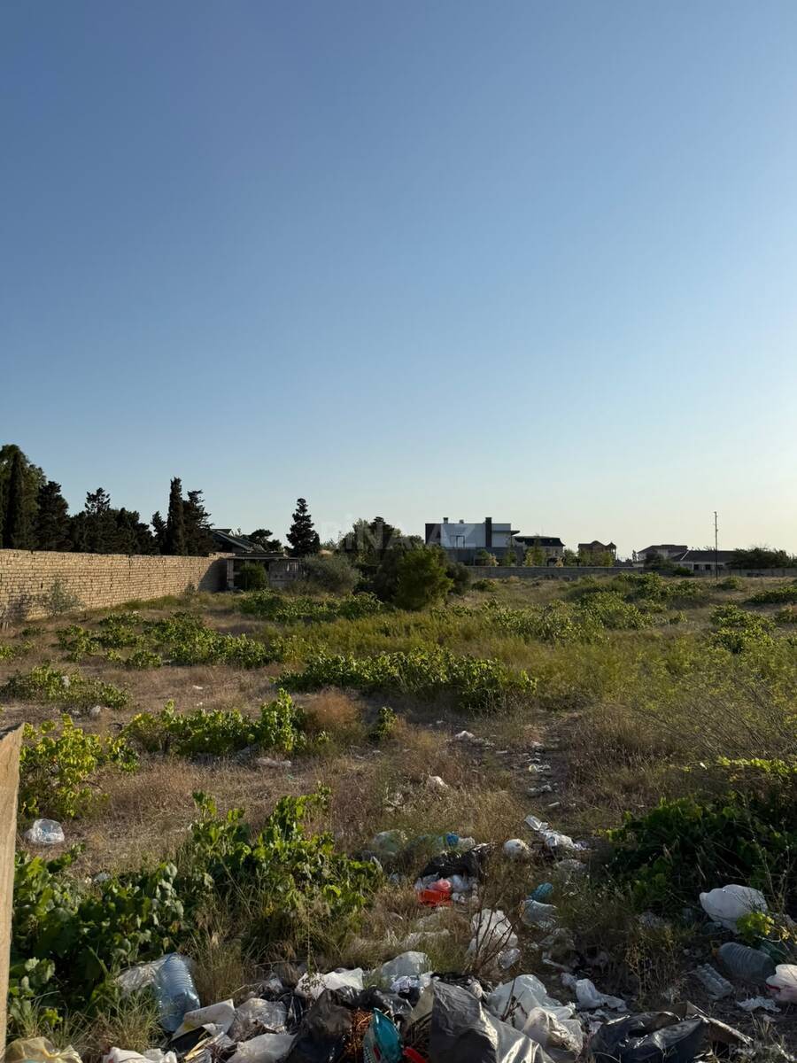 Torpaq Nardaran q., Bakı