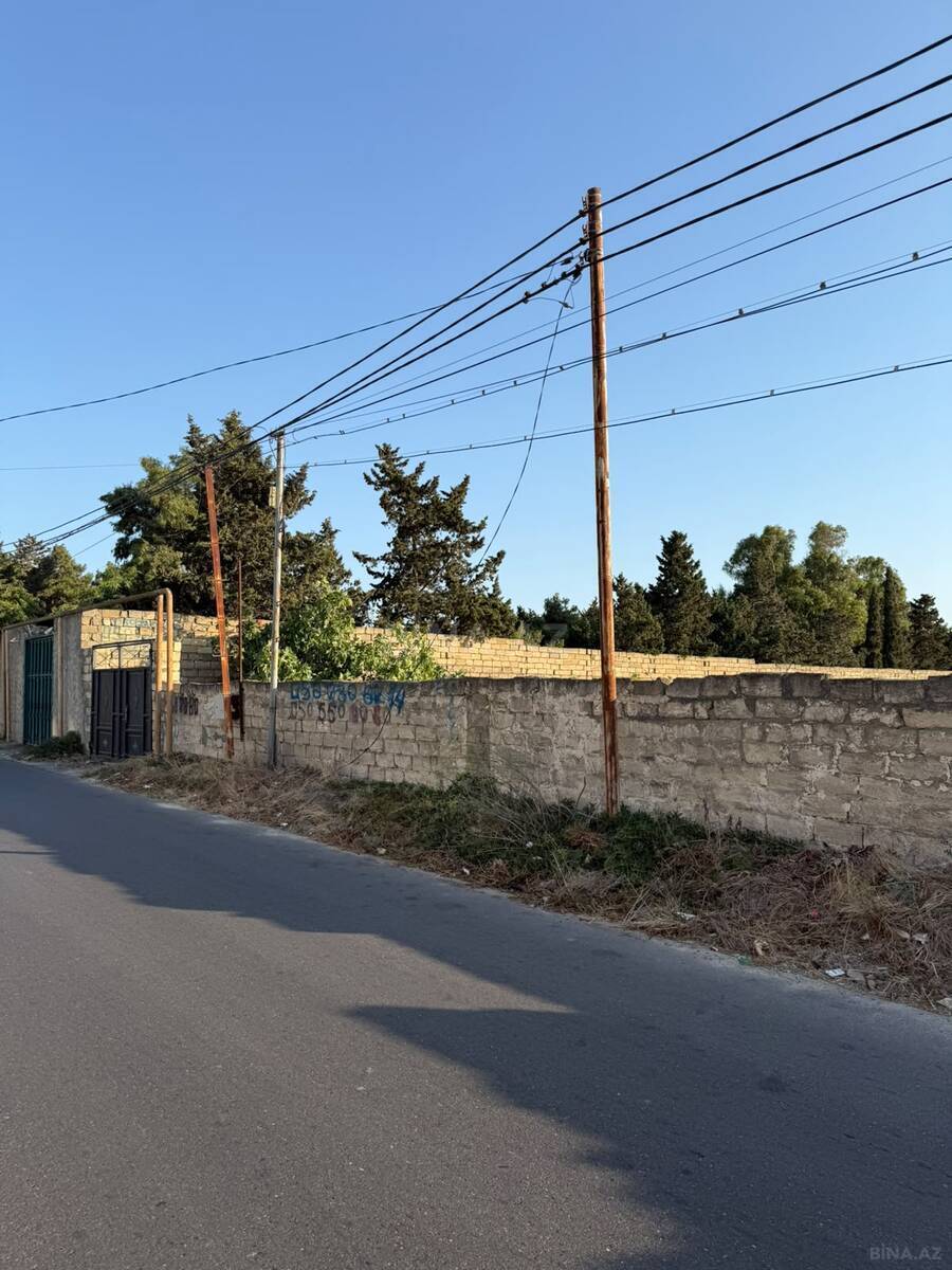 Torpaq Nardaran q., Bakı