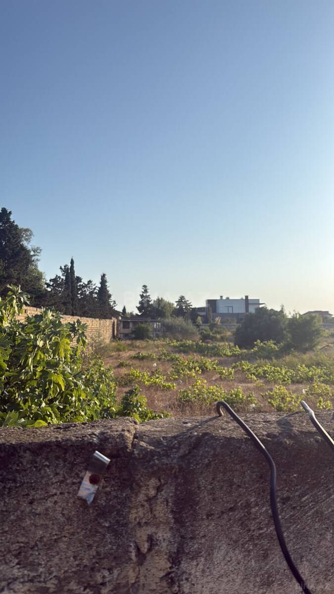 Torpaq Nardaran q., Bakı