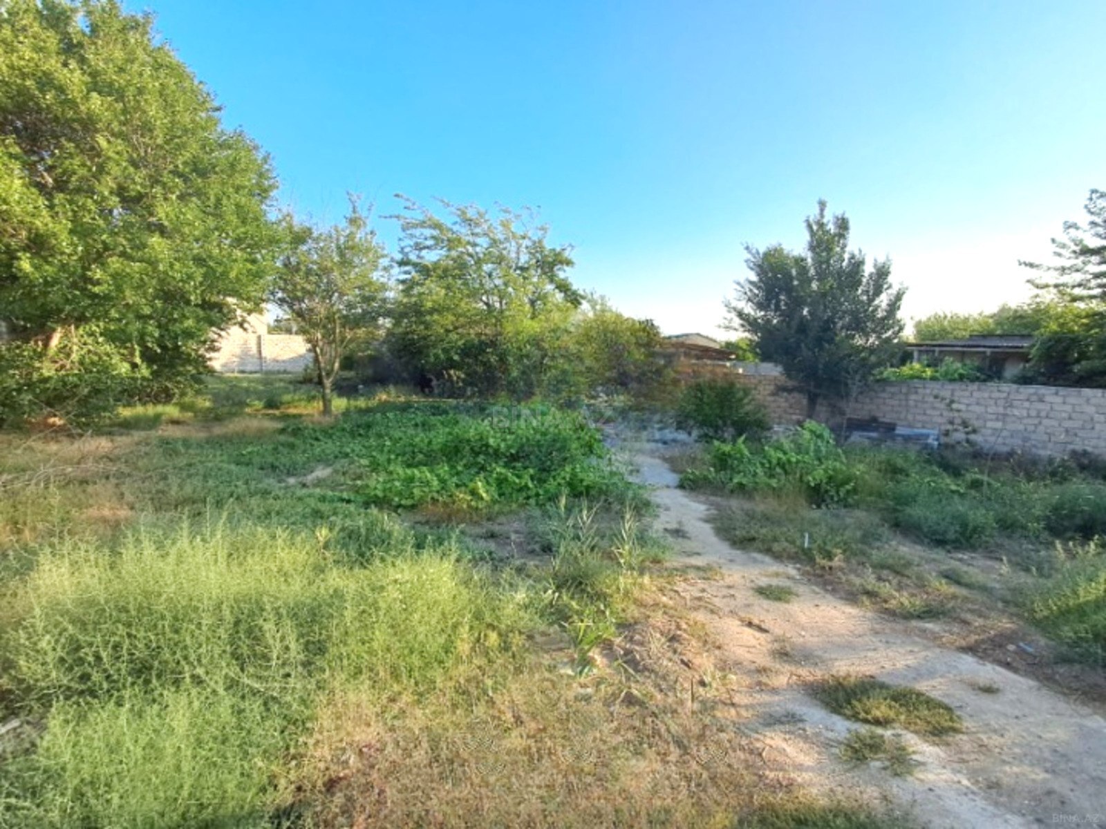Torpaq Bilgəh q., Bakı