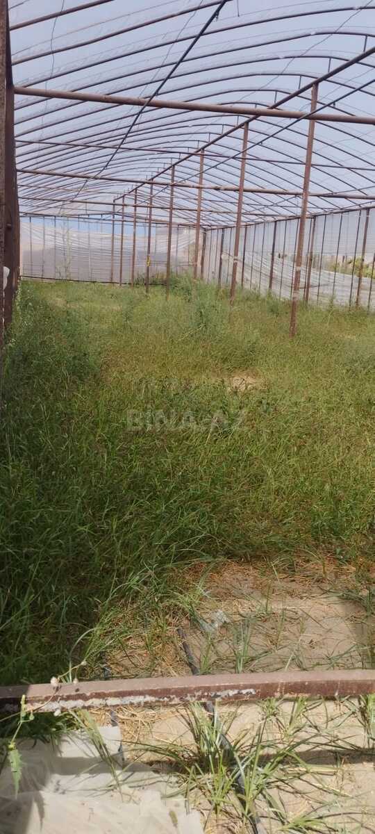 Torpaq Nardaran q., Bakı