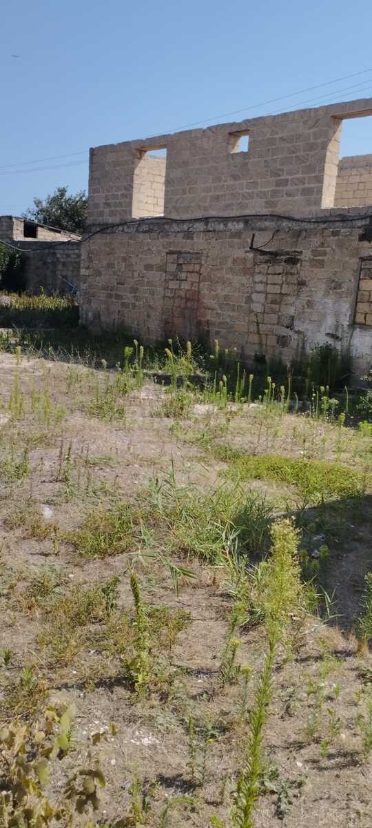 Torpaq Nardaran q., Bakı
