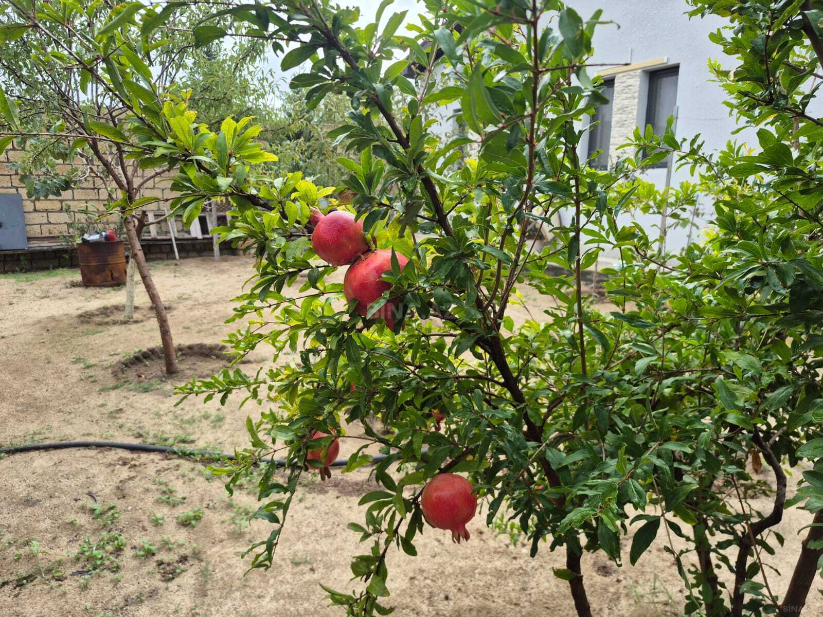 4 otaqlı Həyət evi/Bağ evi, Novxanı q., Bakı