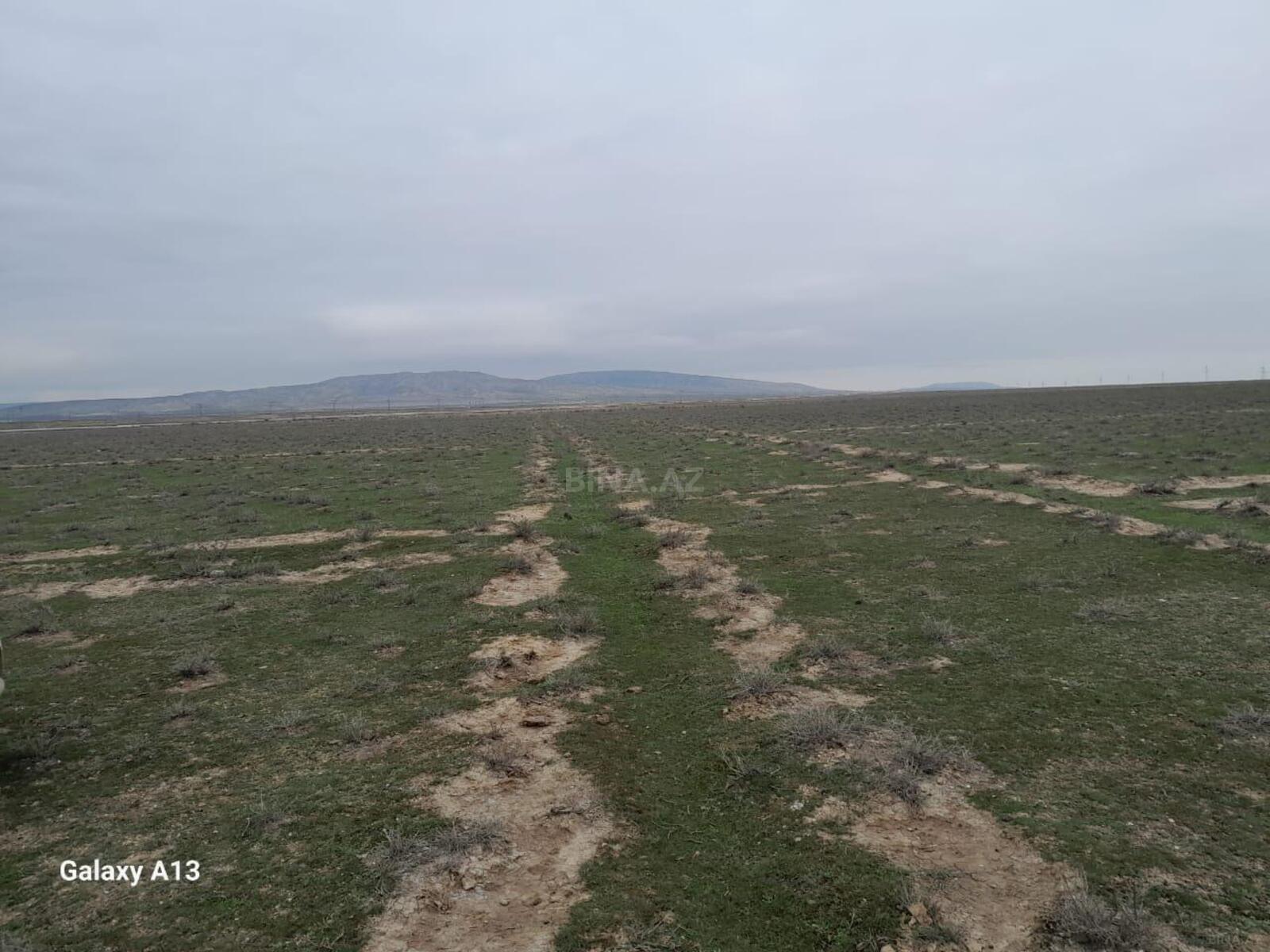 Torpaq Şirvan