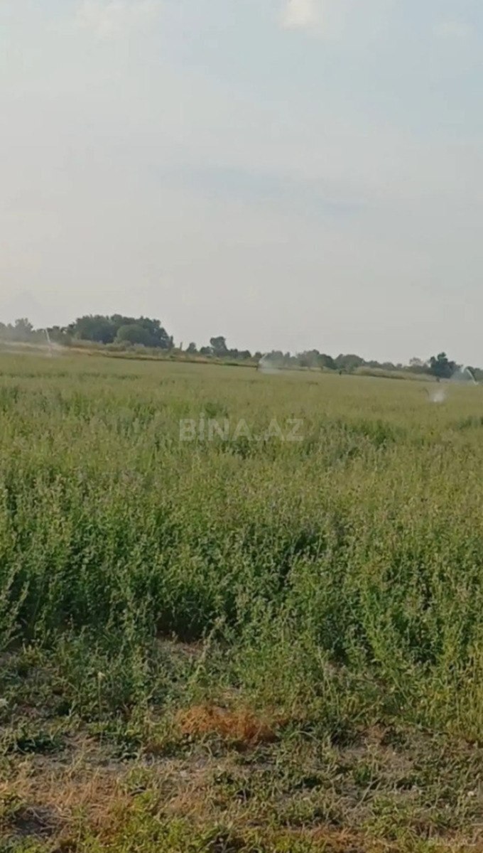 Torpaq Xaçmaz r., Xaçmaz