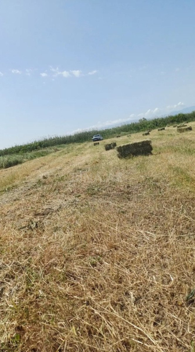 Torpaq Xaçmaz r., Xaçmaz