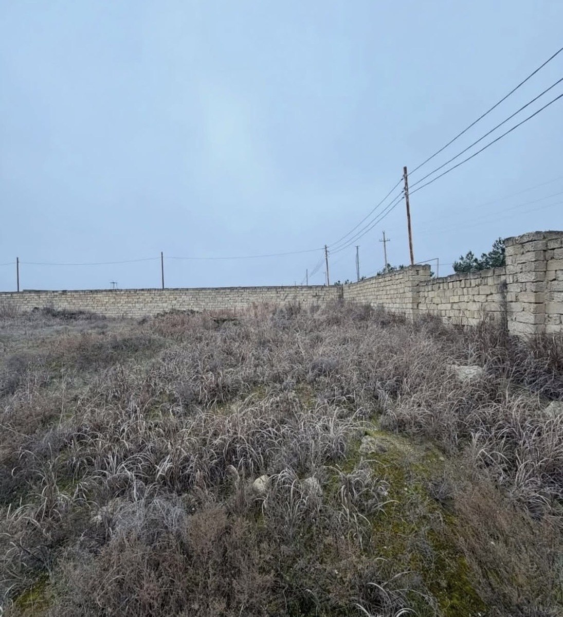 Torpaq Şüvəlan q., Bakı