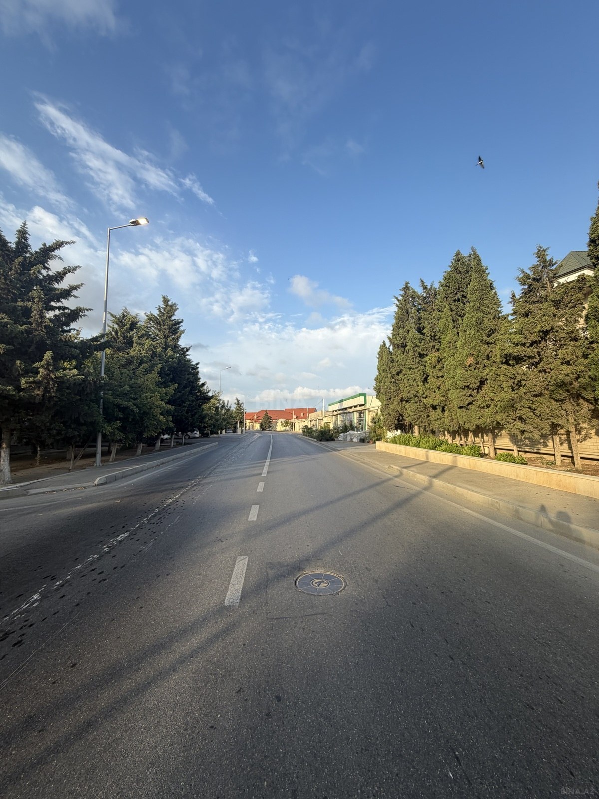 Torpaq Şüvəlan q., Bakı