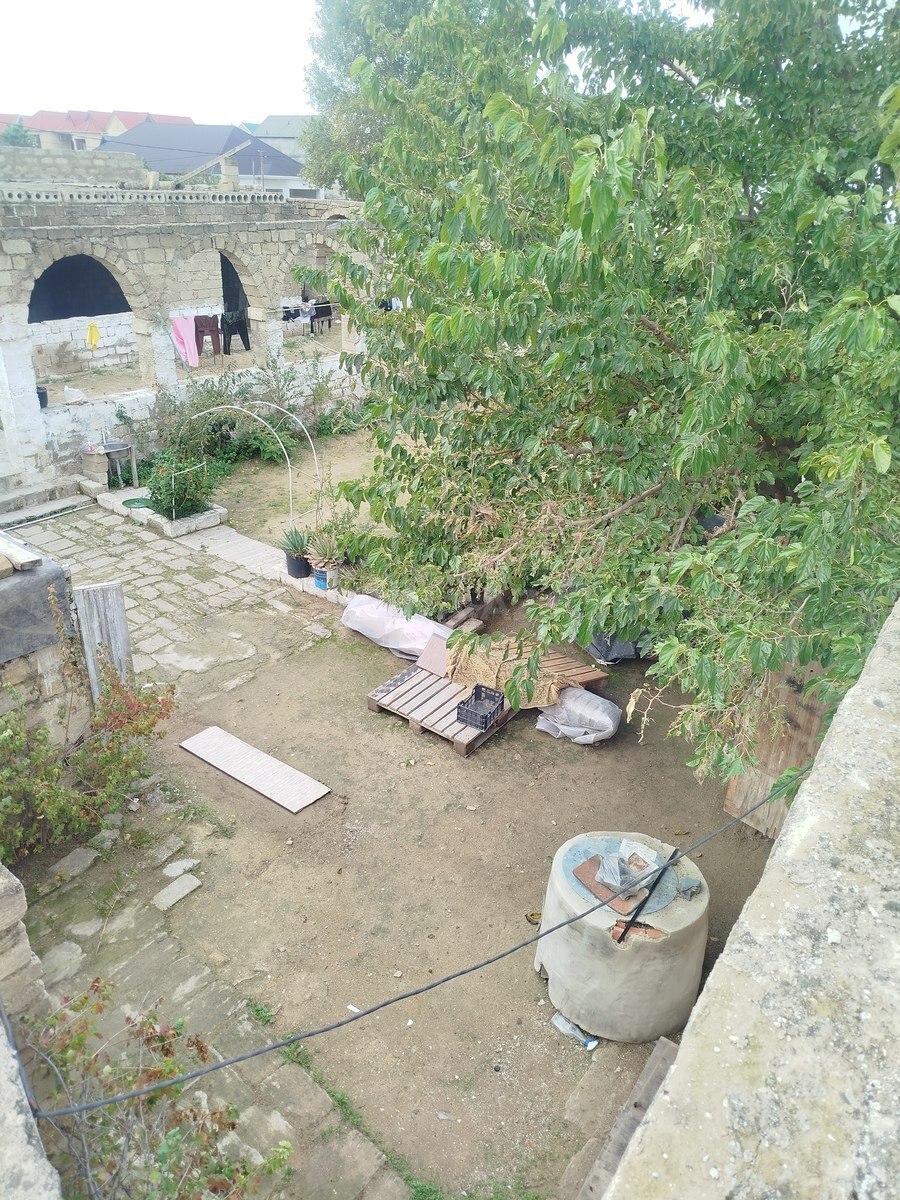 Torpaq Şağan q., Bakı