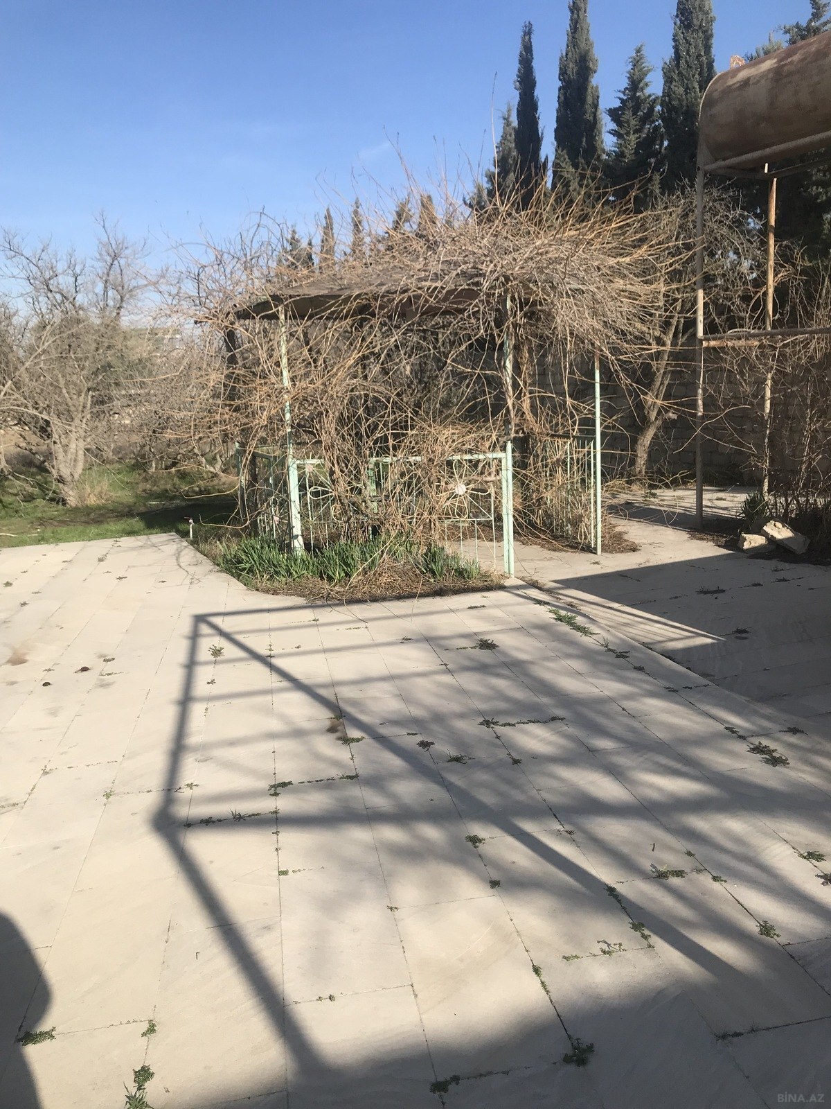Torpaq Nardaran q., Bakı