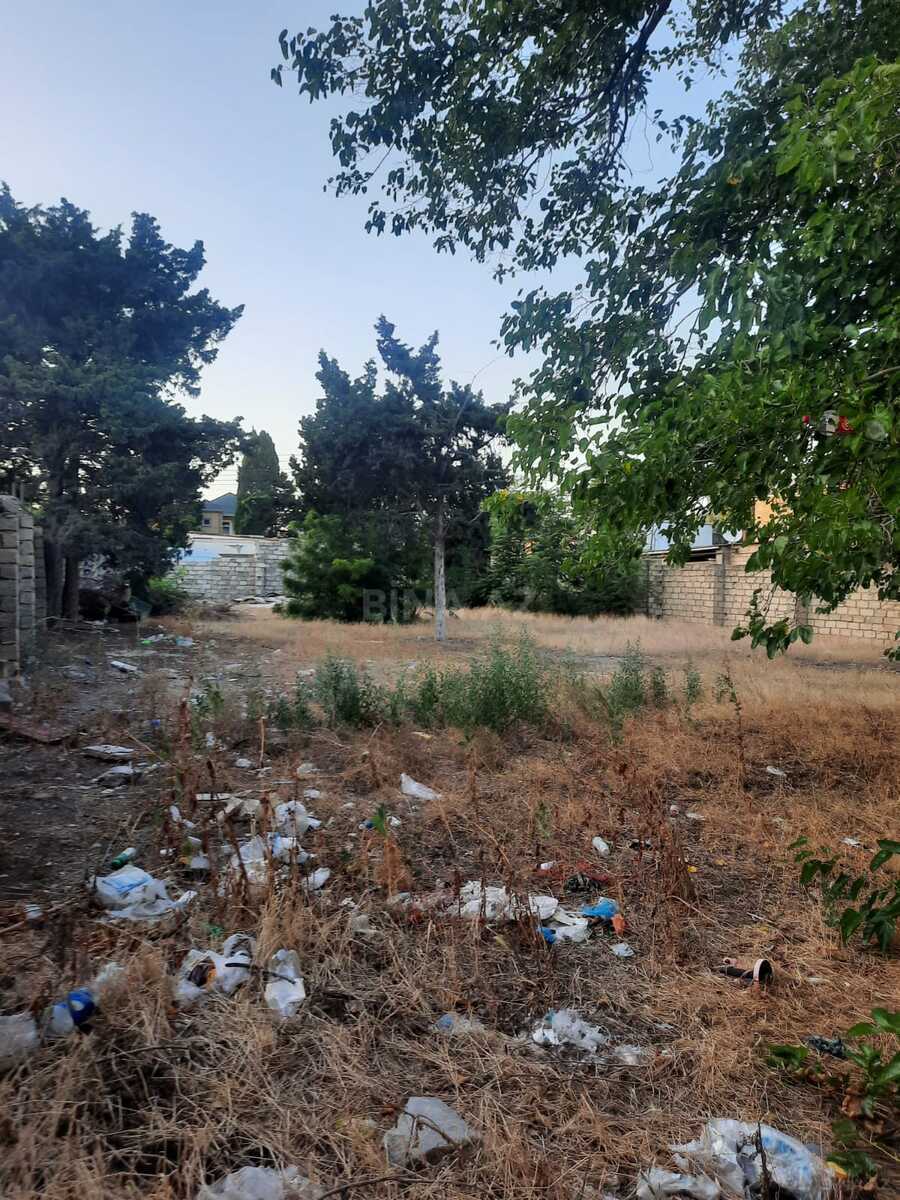 Torpaq Nəsimi m., Bakı