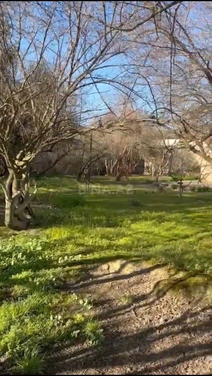 Torpaq Qara Qarayev m., Bakı