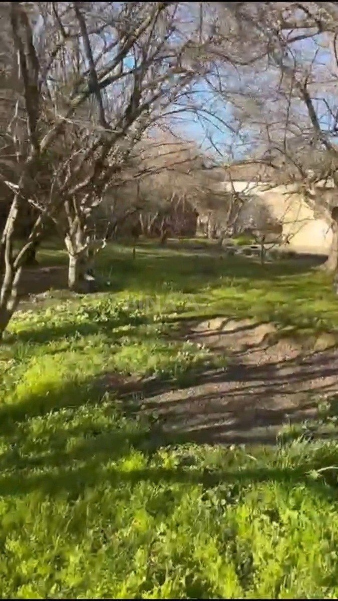 Torpaq Qara Qarayev m., Bakı
