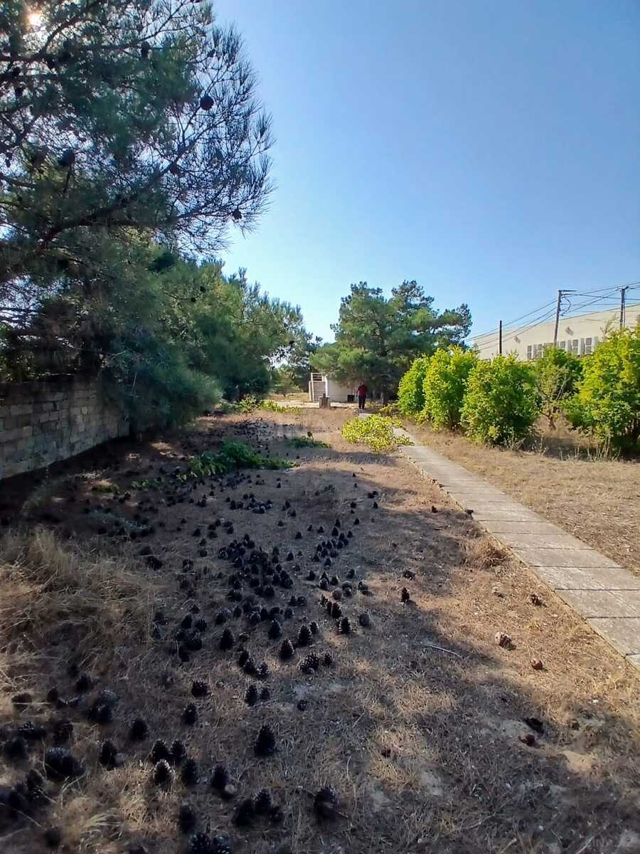 2 otaqlı Həyət evi/Bağ evi, Mərdəkan q., Bakı