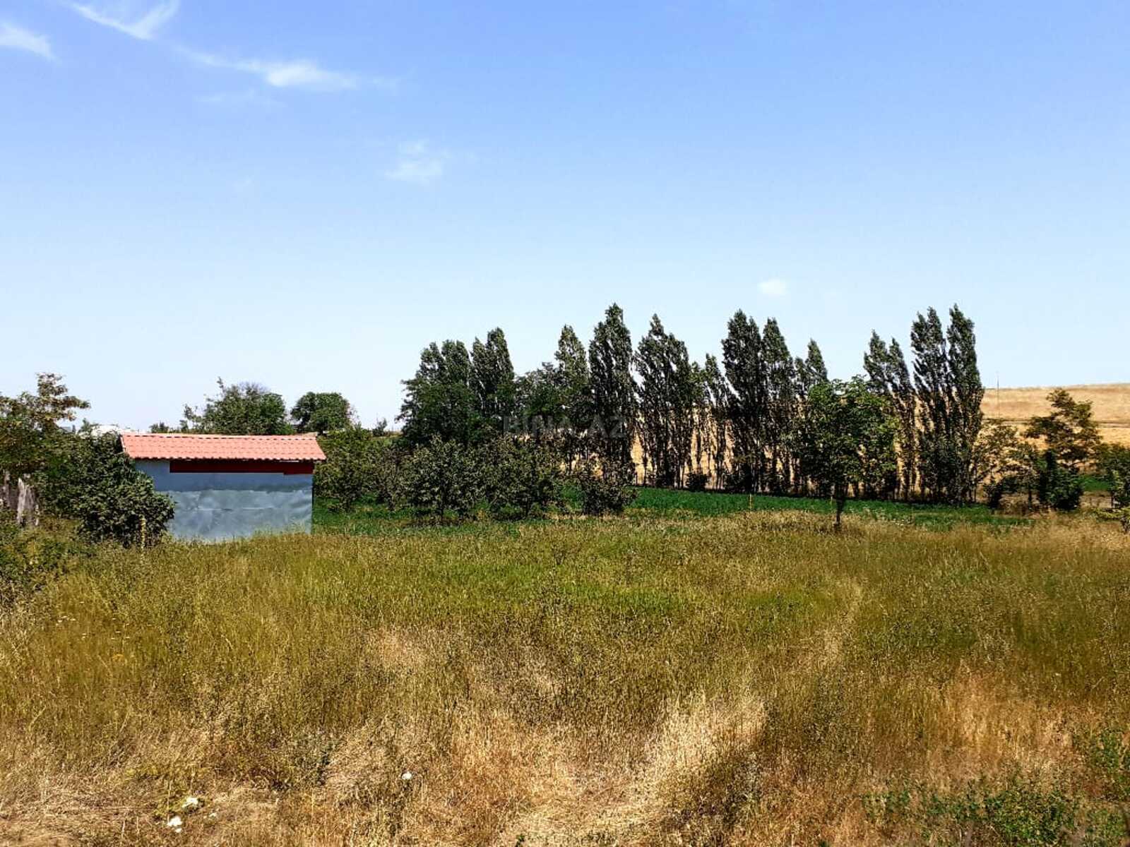 Torpaq Qusar