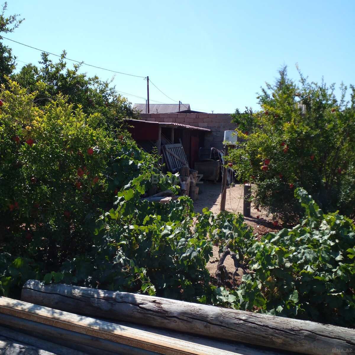 Torpaq Qala q., Bakı