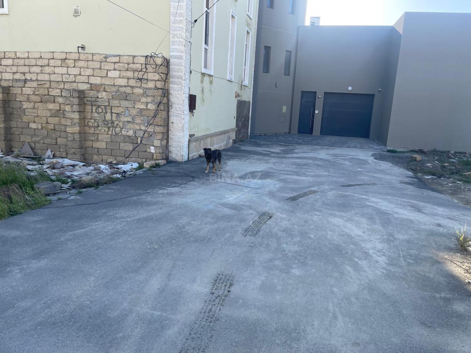 Torpaq Badamdar q., Bakı