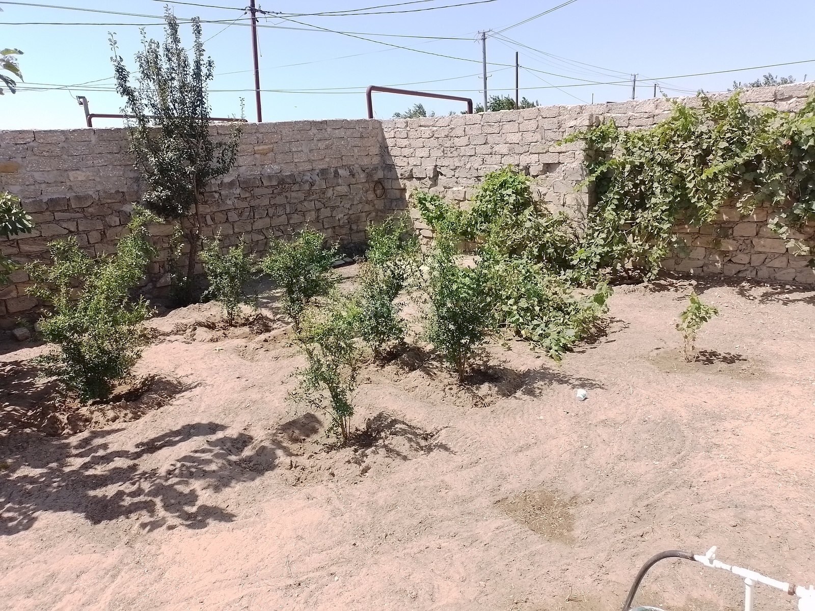 4 otaqlı Həyət evi/Bağ evi, Maştağa q., Bakı