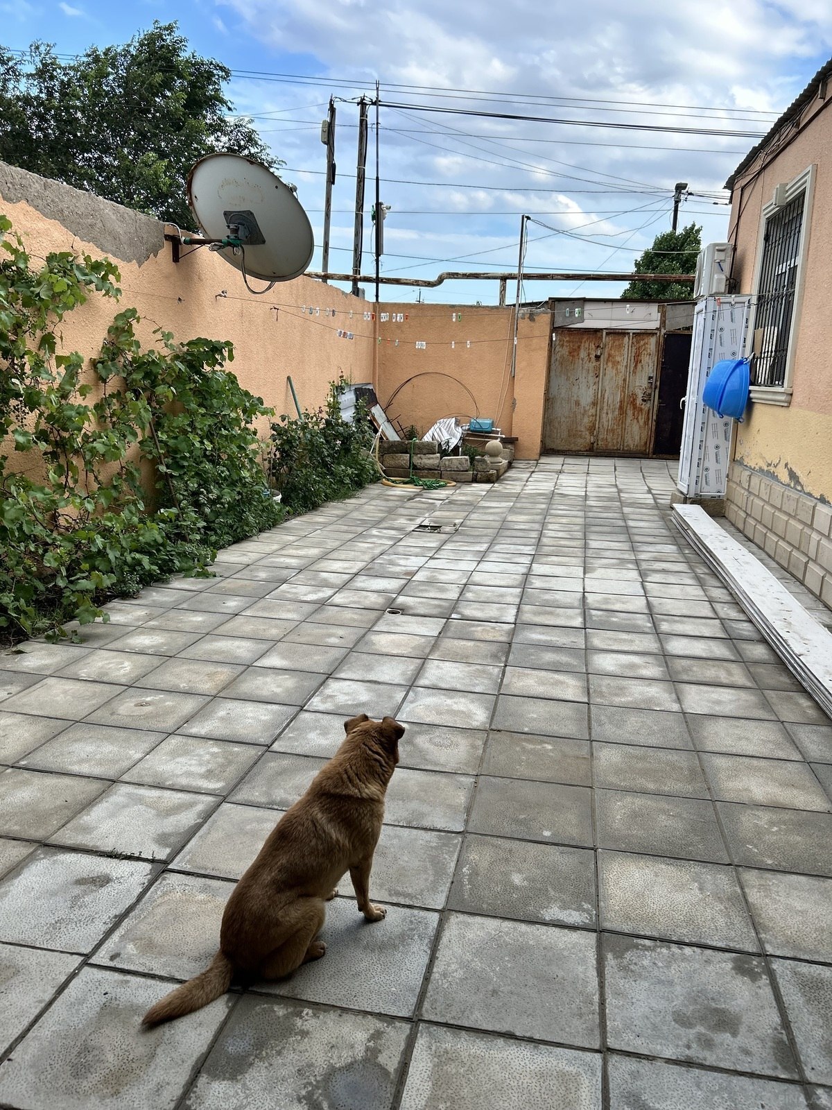 3 otaqlı Həyət evi/Bağ evi, Biləcəri q., Bakı