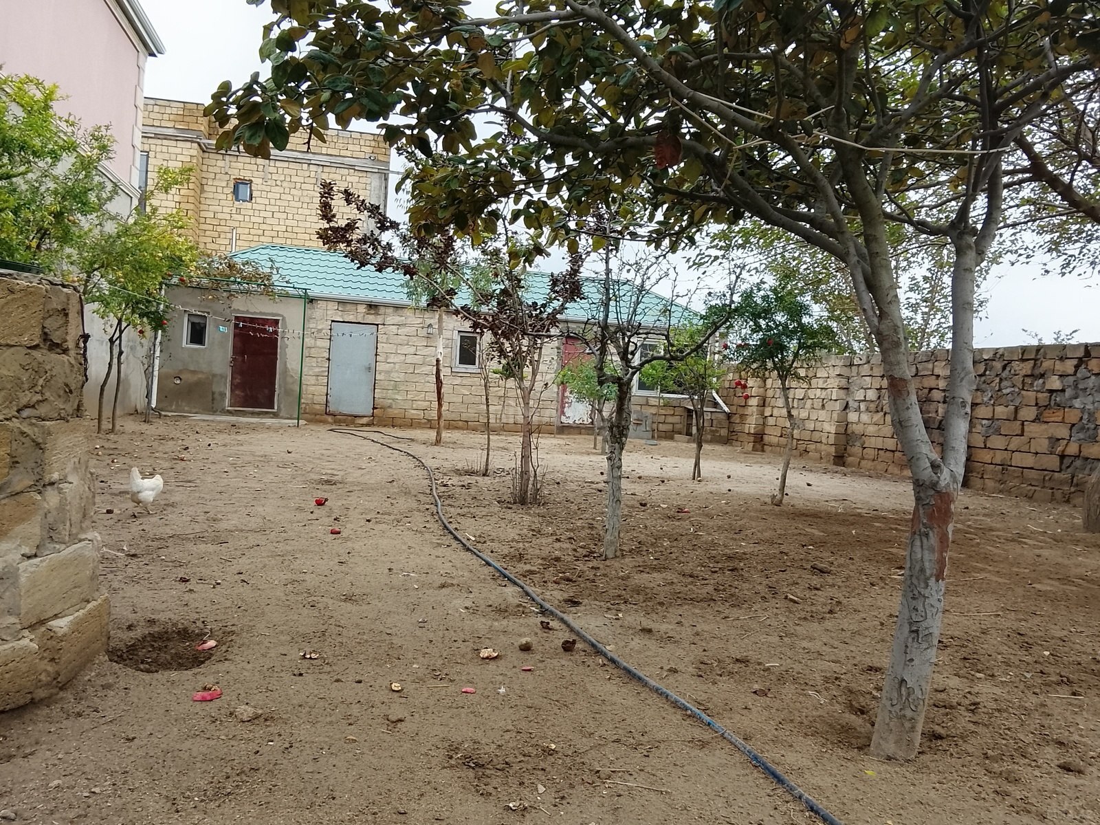 4 otaqlı Həyət evi/Bağ evi, Nardaran q., Bakı