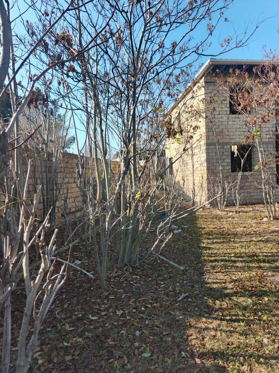 Torpaq Bilgəh q., Bakı
