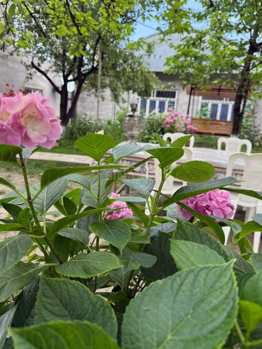 2 otaqlı Həyət evi/Bağ evi, Quba