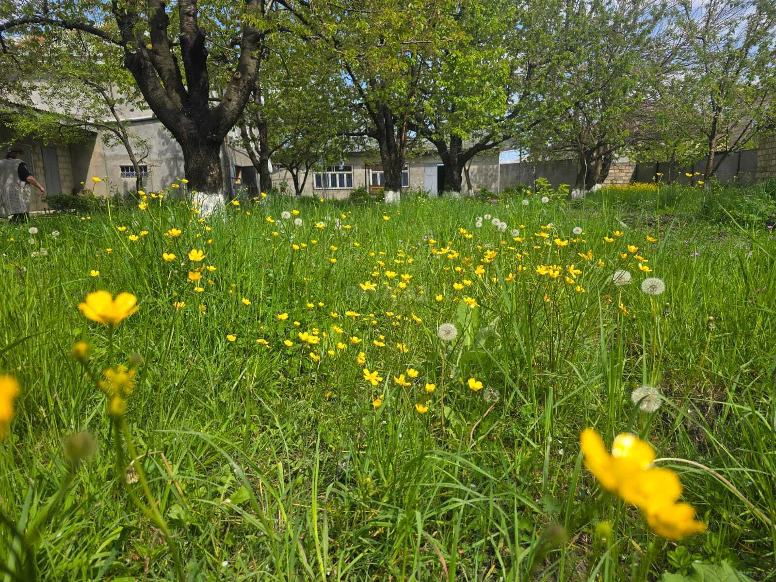 2 otaqlı Həyət evi/Bağ evi, Quba