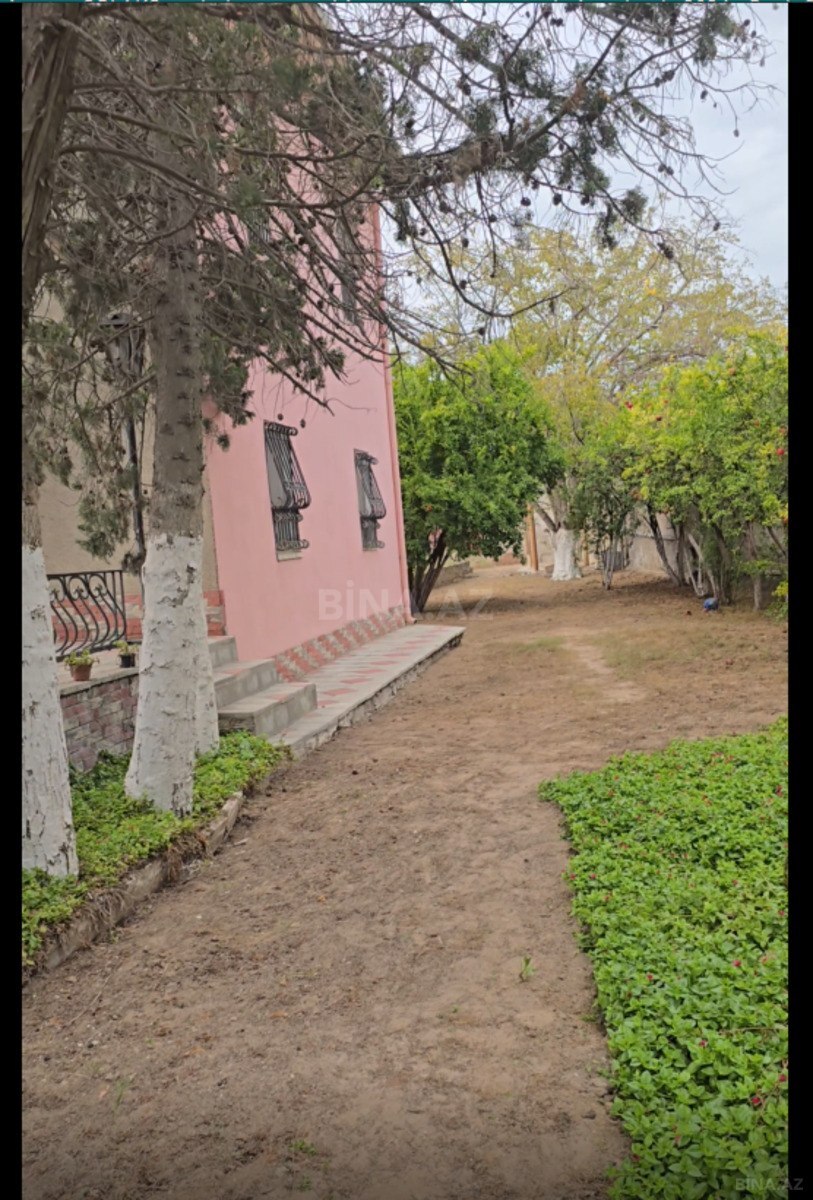Torpaq Buzovna q., Bakı