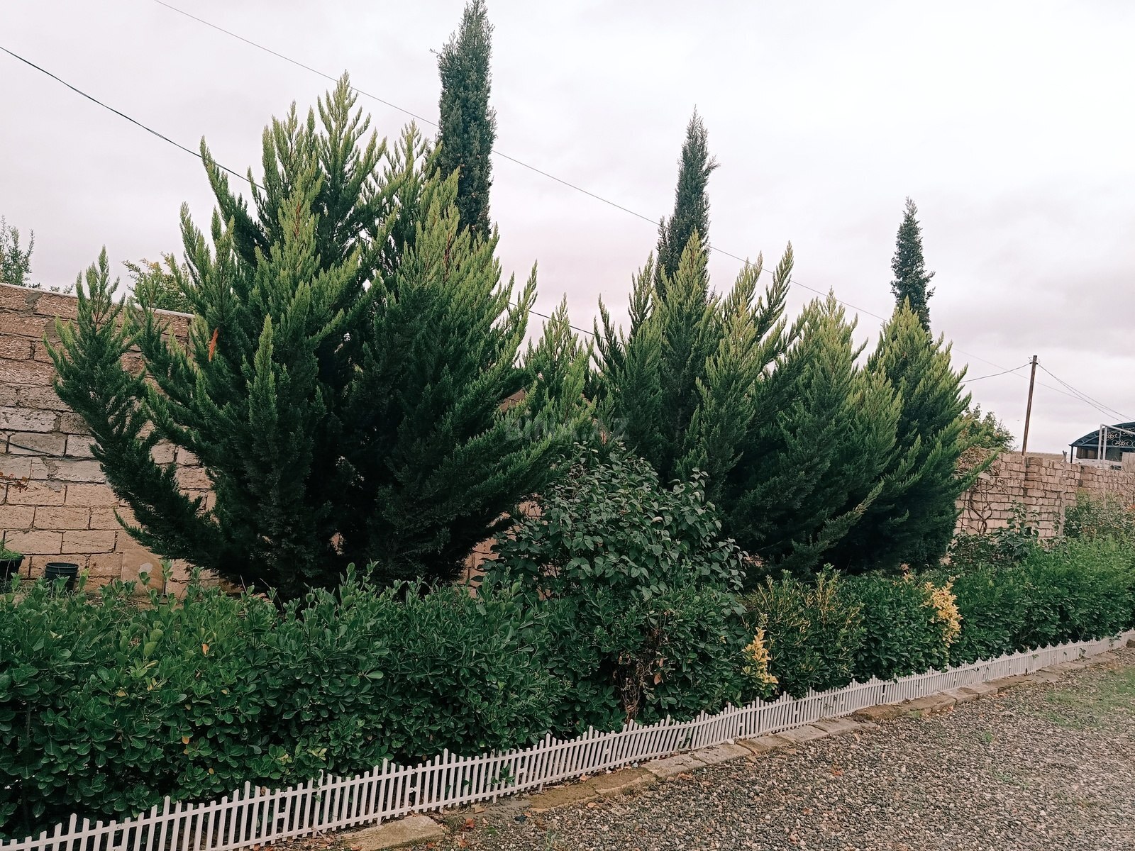 7 otaqlı Həyət evi/Bağ evi, Buzovna q., Bakı