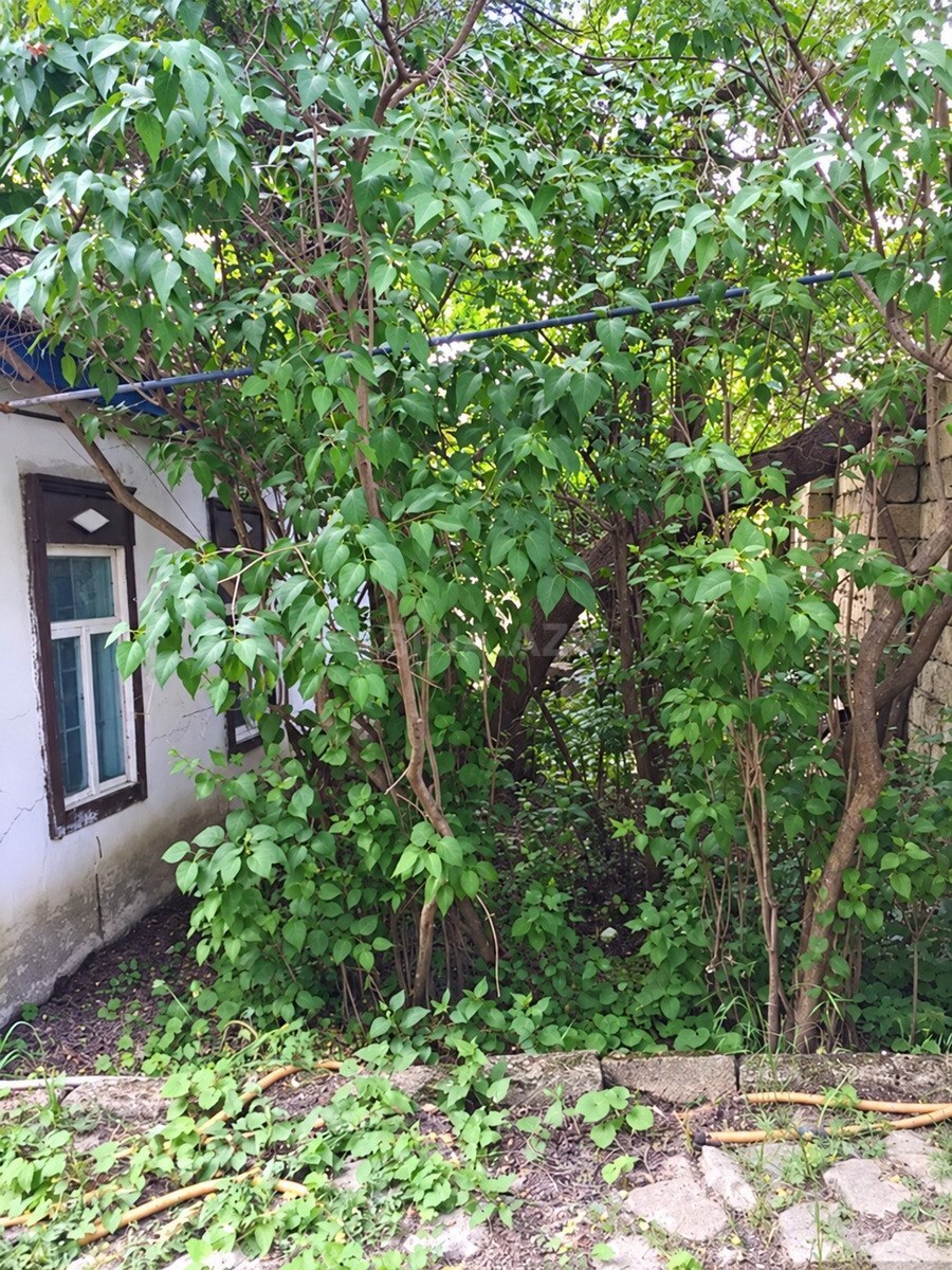 4 otaqlı Həyət evi/Bağ evi, Xızı