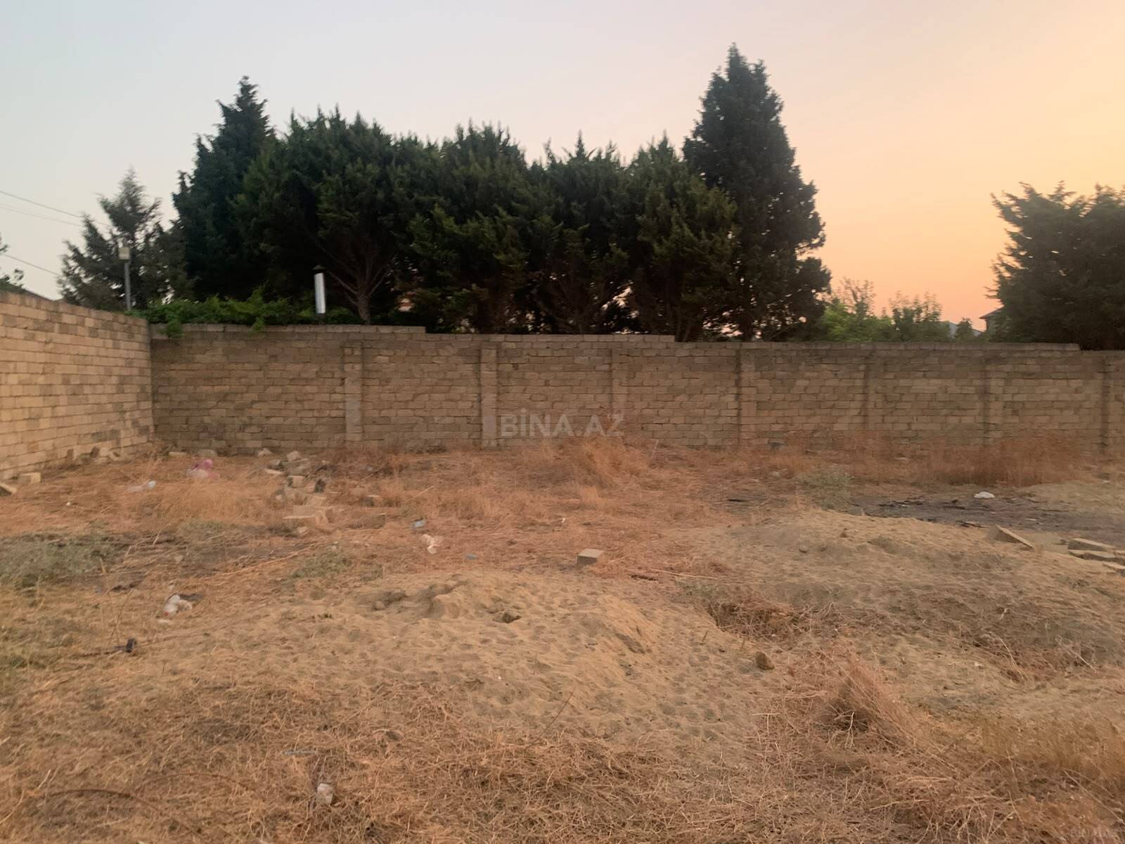 Torpaq Abşeron r., Bakı