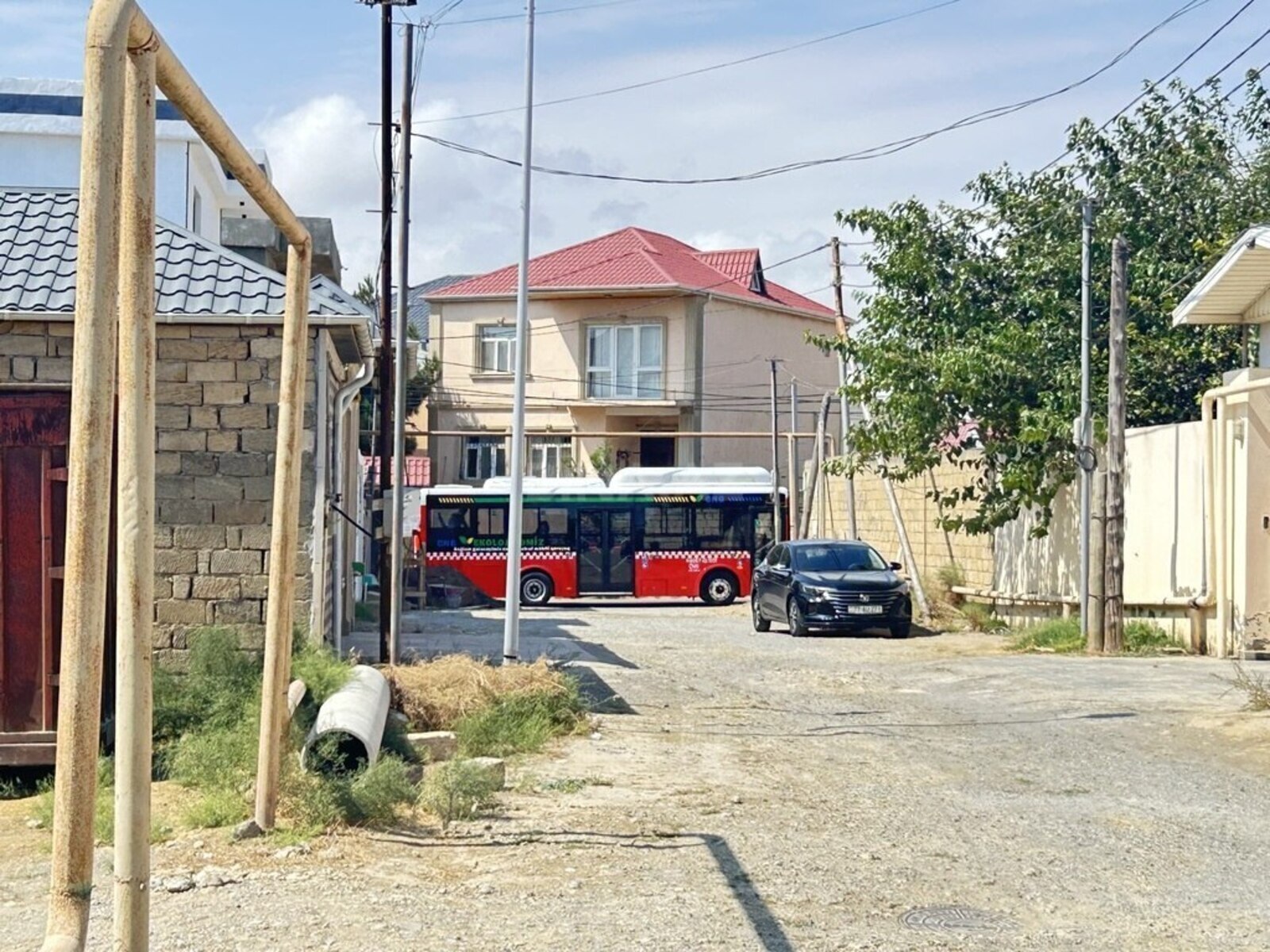 Torpaq Badamdar q., Bakı