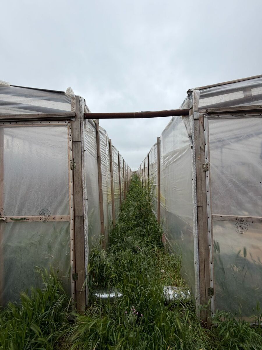 4 otaqlı Həyət evi/Bağ evi, Albalılıq q., Bakı