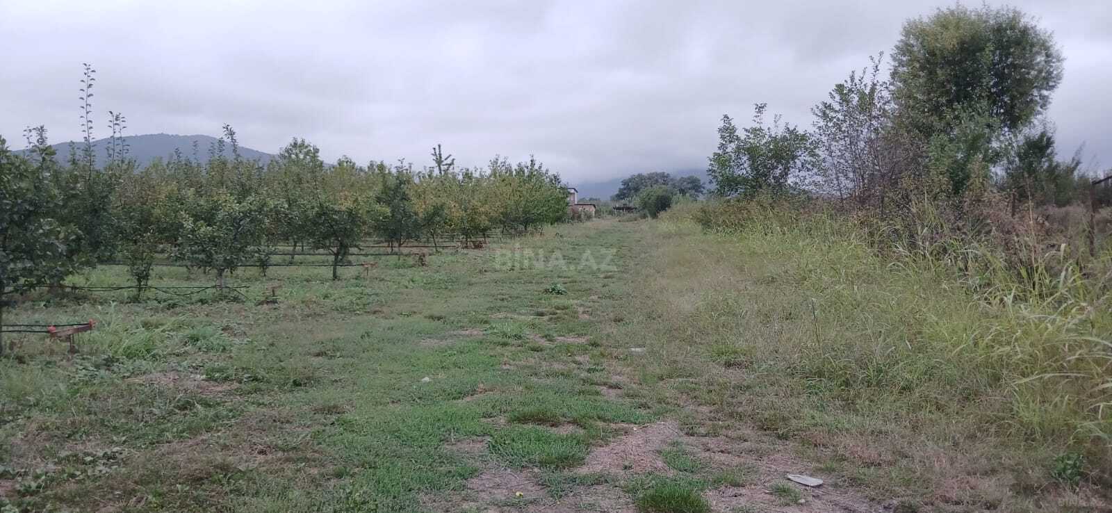 Torpaq Quba