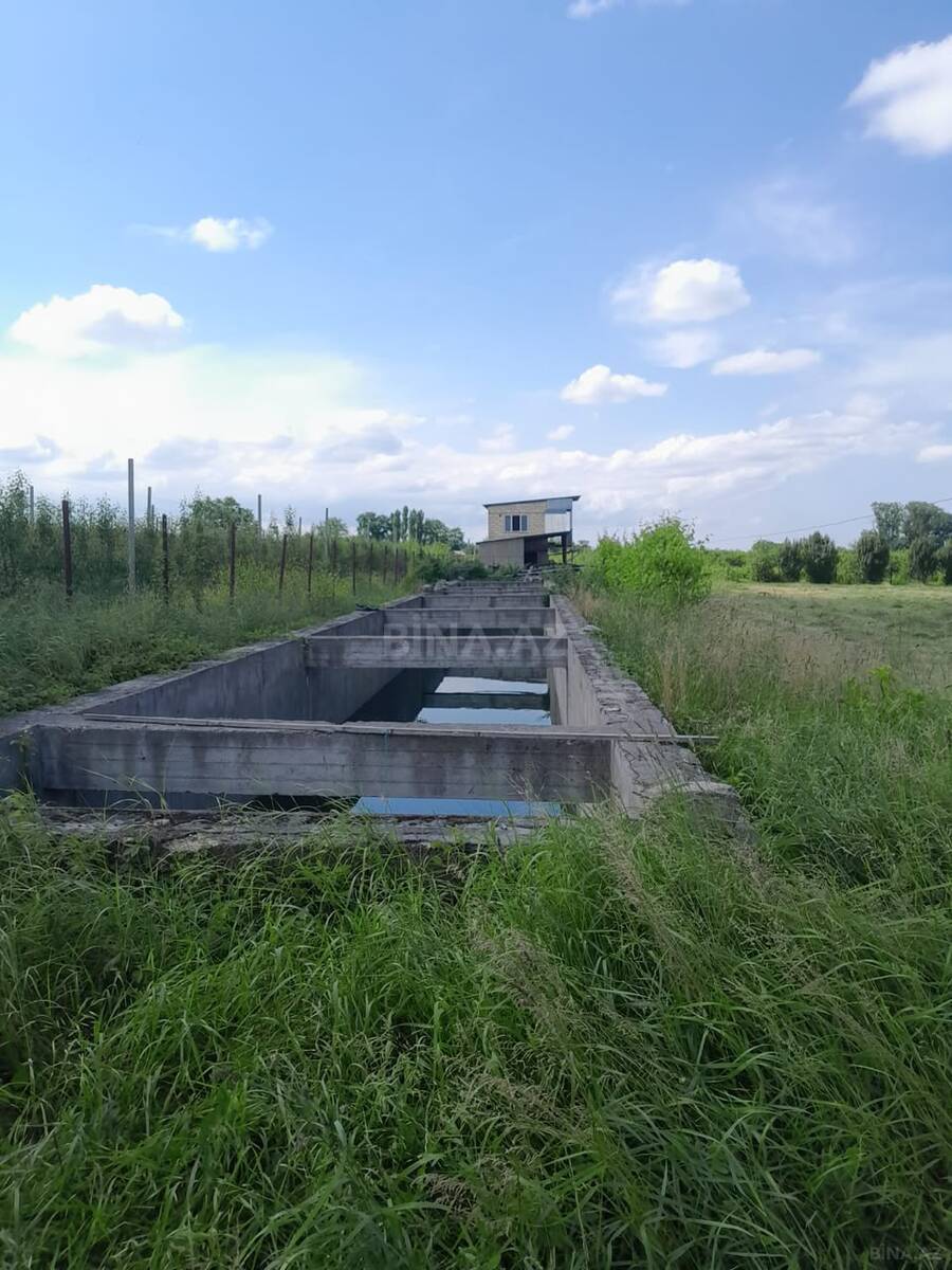 Torpaq Quba