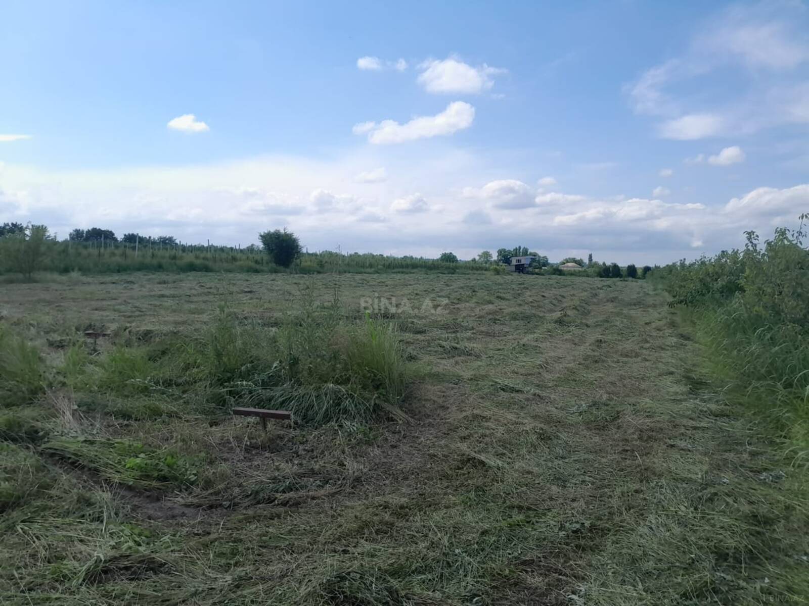 Torpaq Quba