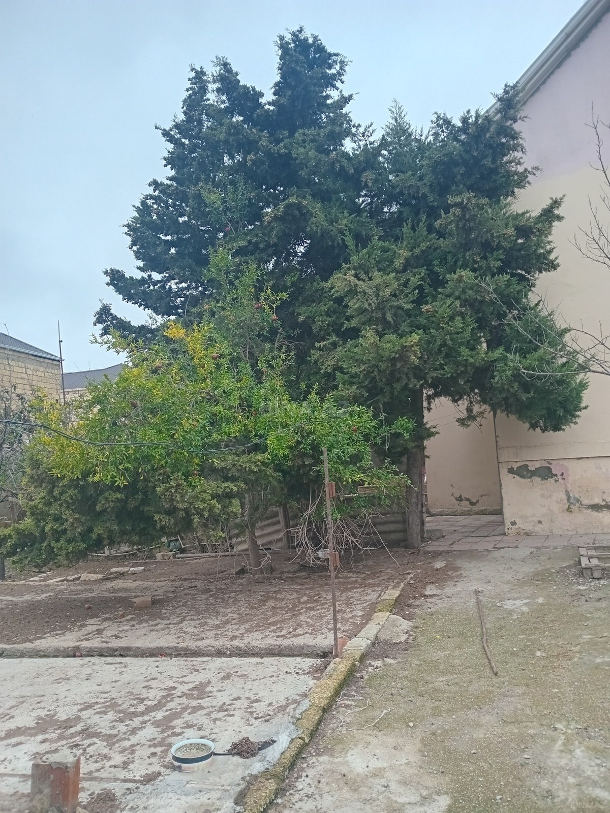 5 otaqlı Həyət evi/Bağ evi, Masazır q., Bakı