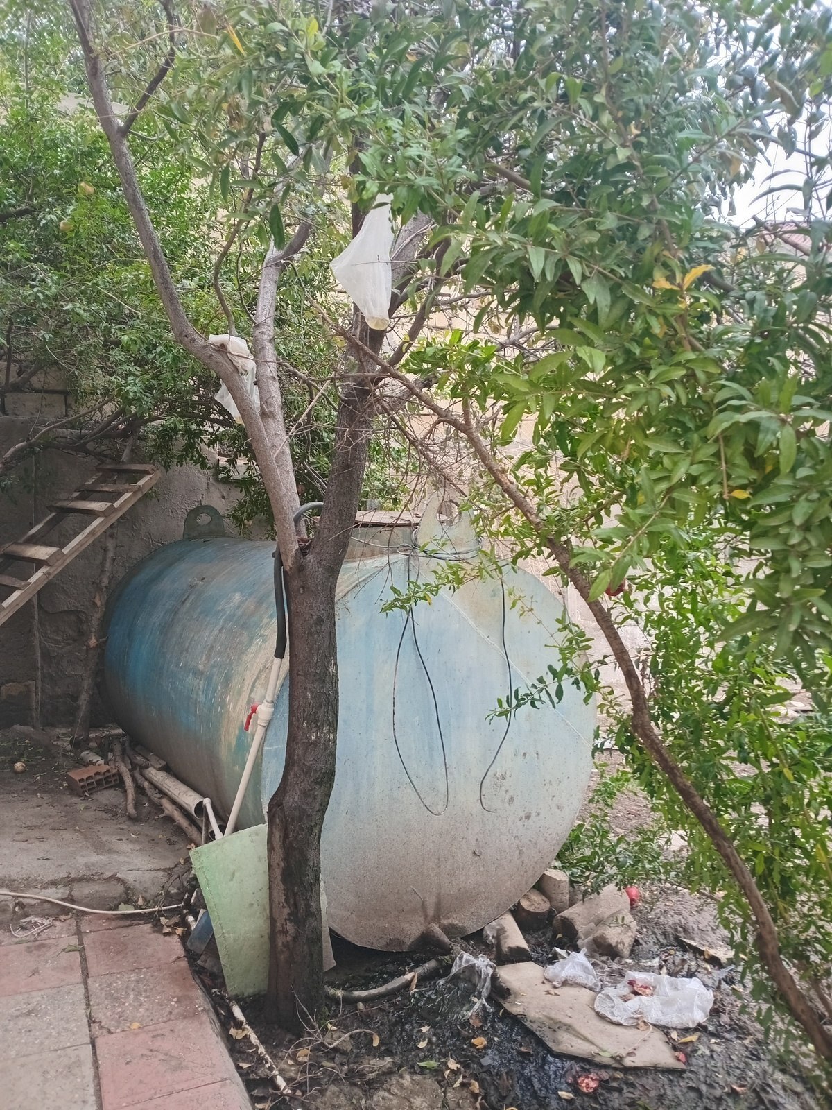 5 otaqlı Həyət evi/Bağ evi, Masazır q., Bakı