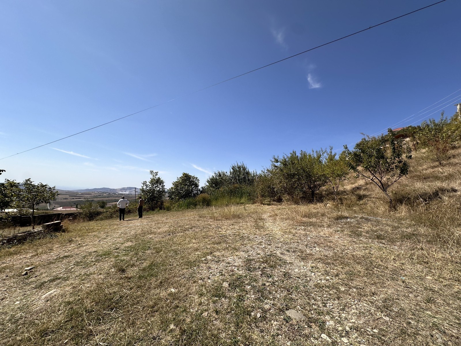 Torpaq Şamaxı