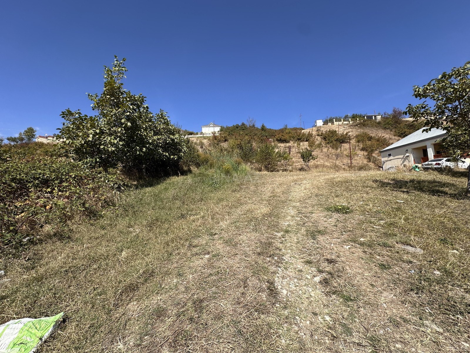 Torpaq Şamaxı