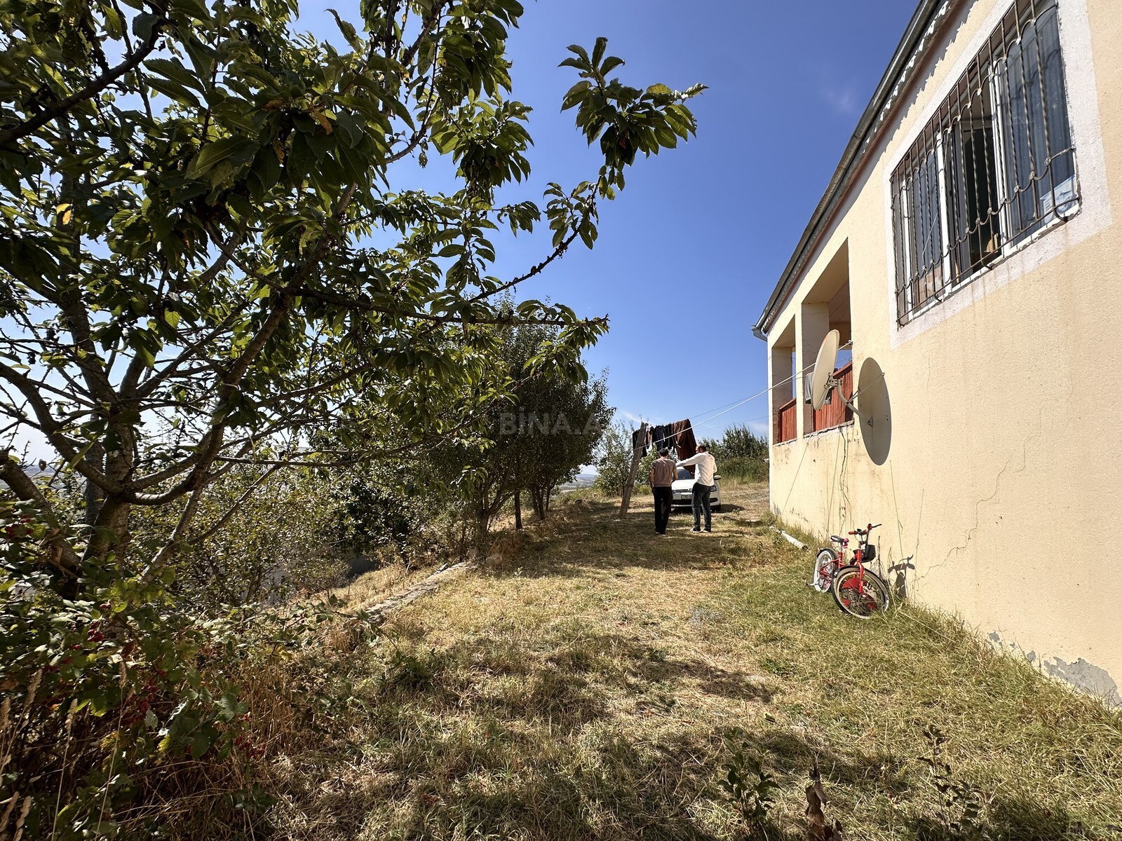 Torpaq Şamaxı