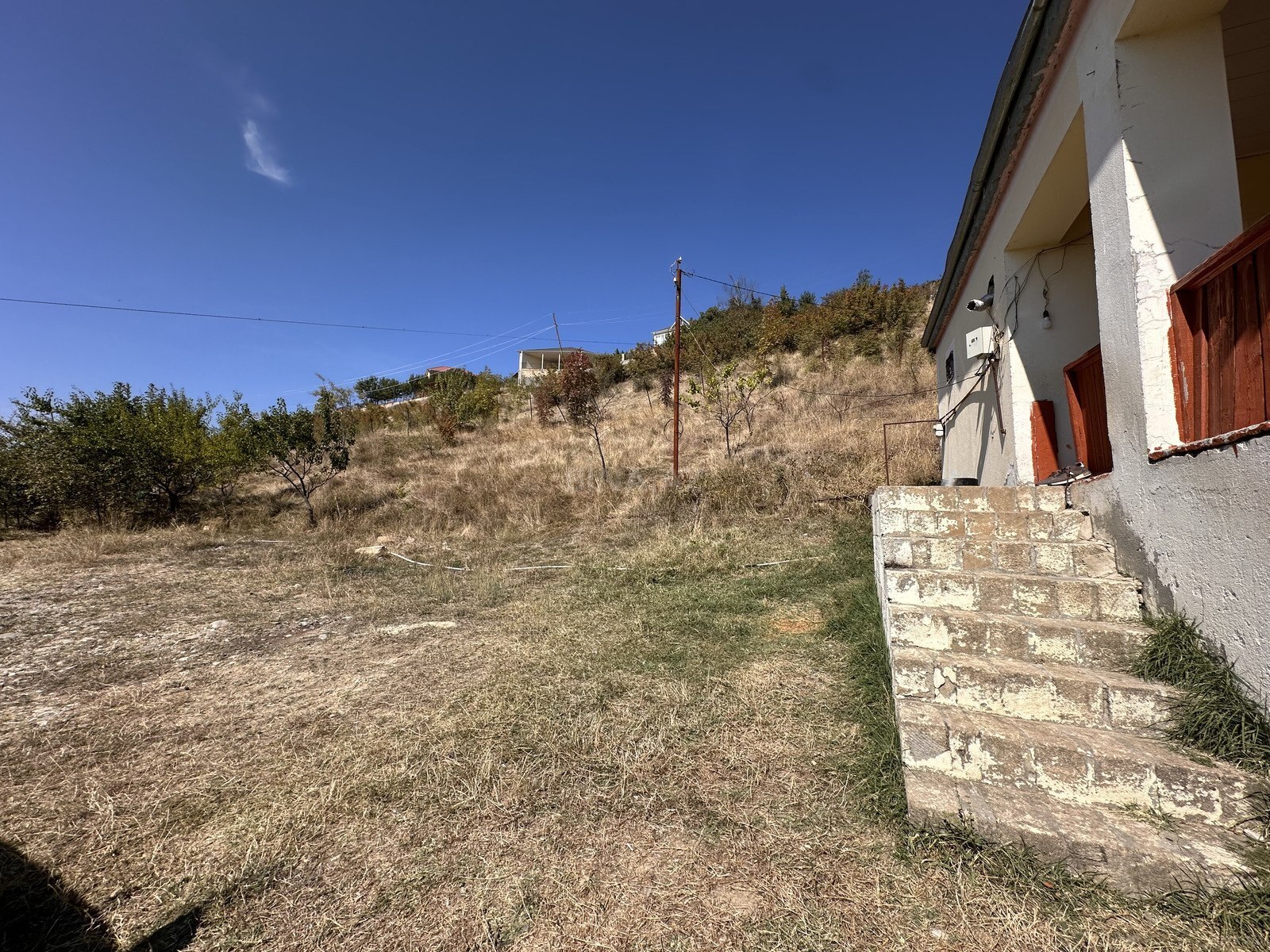 Torpaq Şamaxı