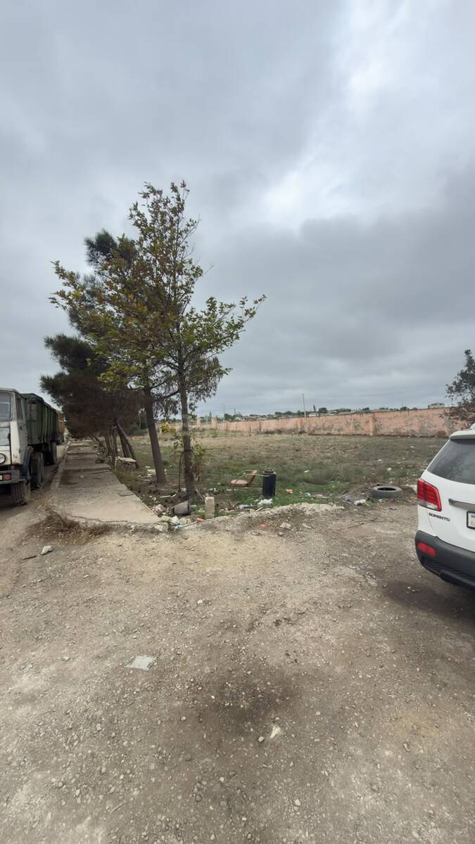 Torpaq Bülbülə q., Bakı