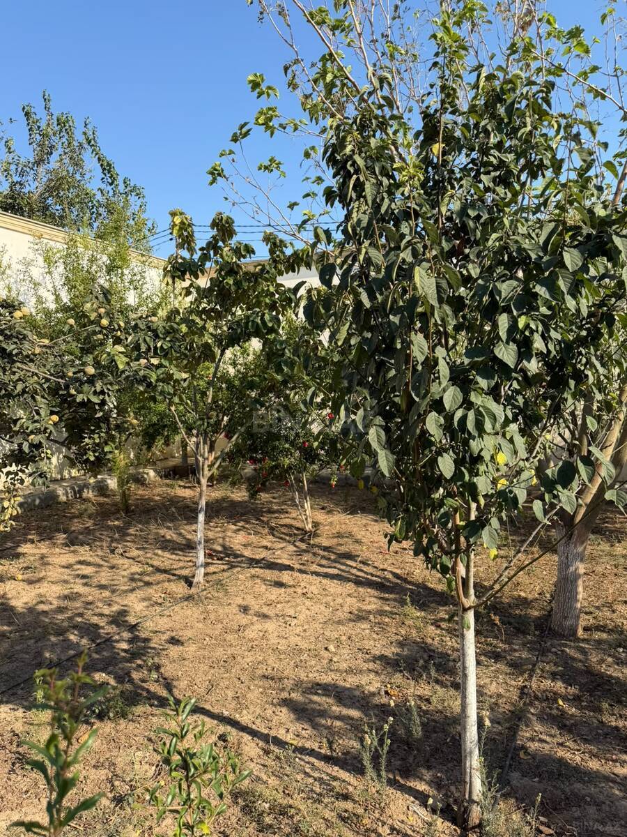 6 otaqlı Həyət evi/Bağ evi, Mərdəkan q., Bakı